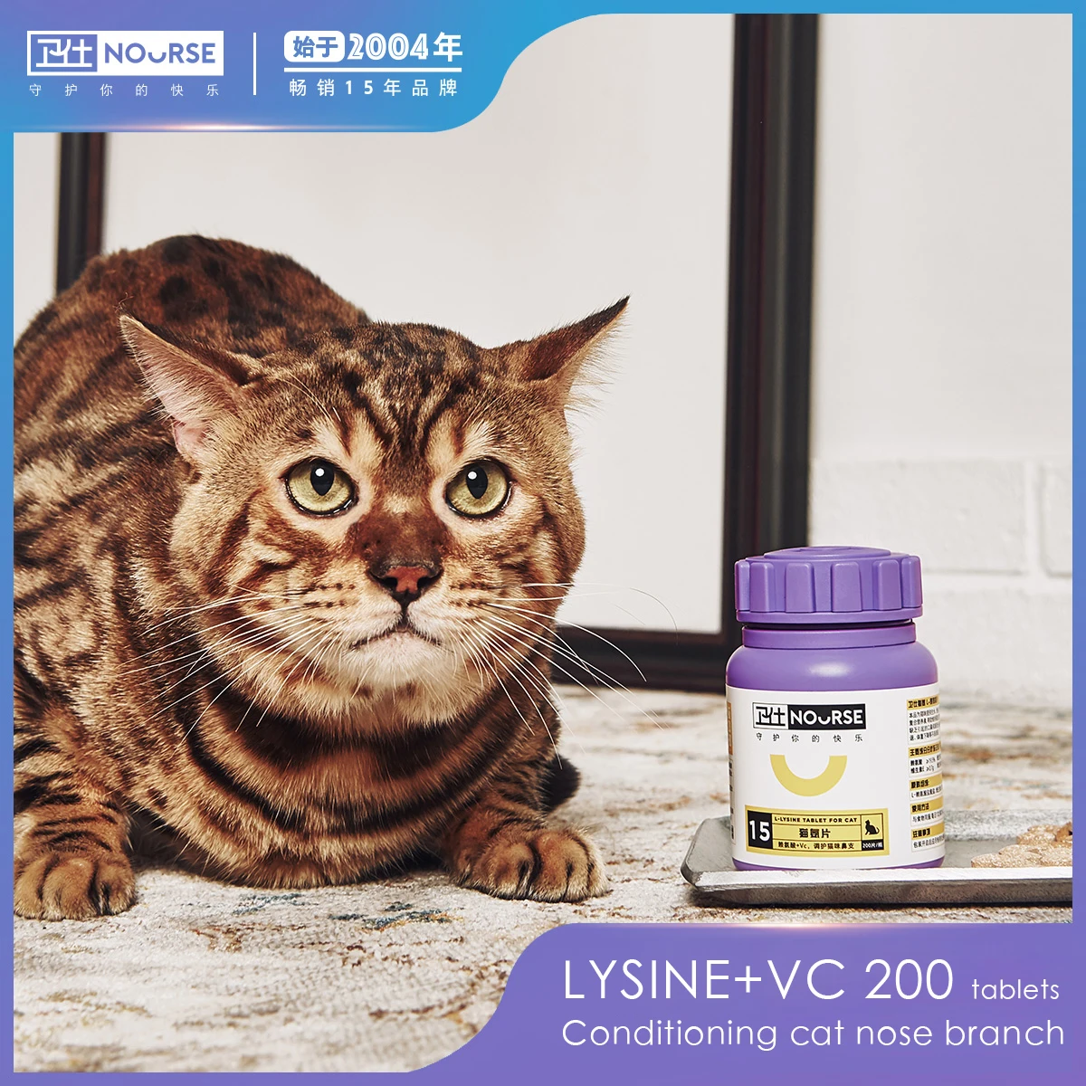 Mačka Amoniak-Lyzín Tablety VC Starostlivosti Mačka Nos Podporu Pet Výživy 100g0